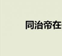 同治帝在位时期(同治皇帝简介)