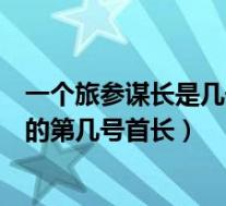 一个旅参谋长是几号首长(一个军区的参谋长是所在该军区的第几号首长)