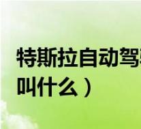 特斯拉自动驾驶全称(特斯拉全自动驾驶系统叫什么)