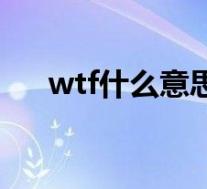 wtf什么意思网络用语(wtf什么意思)
