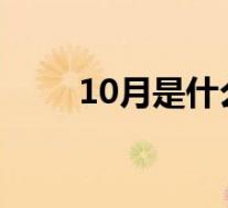 10月是什么星座(8月是什么星座)