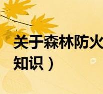 关于森林防火的知识100字(关于森林防火的知识)