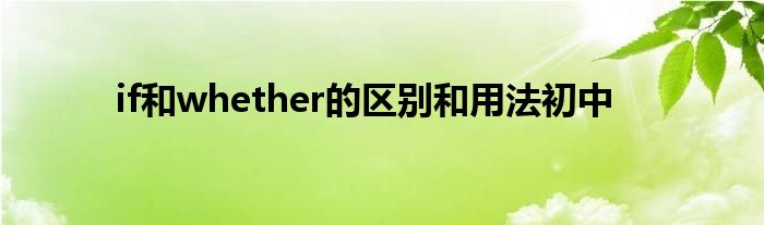 if和whether的区别和用法初中-第1张图片-问答网