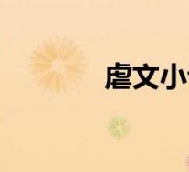 虐文小说怎么写(虐文小说)