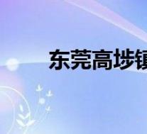东莞高埗镇属于哪个区(东莞高埗)
