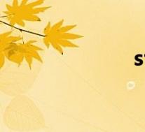 staked(stake)