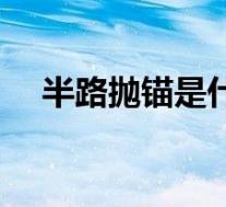 半路抛锚是什么意思(抛锚是什么意思)