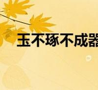 玉不琢不成器人不学不知道的理解300字