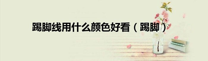 踢脚线用什么颜色好看（踢脚）-第1张图片-问答网
