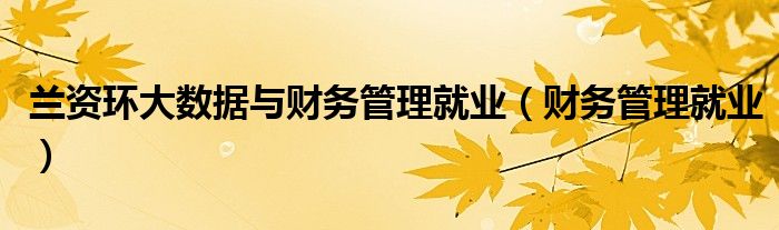 兰资环大数据与财务管理就业（财务管理就业）-第1张图片-问答网