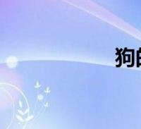 狗的生活习性和特征