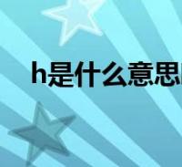 梯子外网是什么意思网络用语-永久翻国外梯子windows