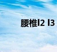 腰椎l2 l3(腰椎l1,l2,l3位置)