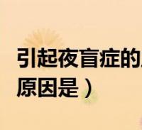 引起夜盲症的主要原因是(夜盲症发生的主要原因是)