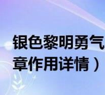 银色黎明勇气勋章有什么用(银色黎明勇气勋章作用详情)