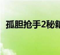 孤胆抢手2秘籍(孤单抢手2重装上阵秘籍)