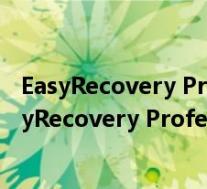 EasyRecovery Professional 6.10.07 全功能企业版(EasyRecovery Professional 6.10.07 全功能企业版功能简介)