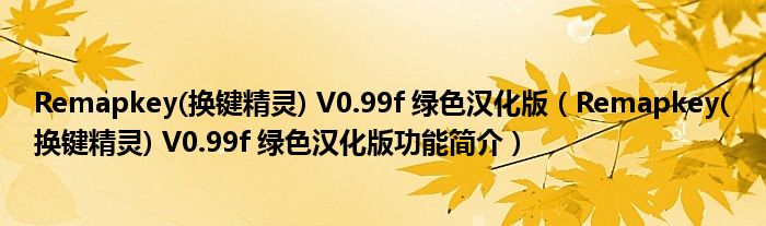Remapkey(换键精灵) V0.99f 绿色汉化版（Remapkey(换键精灵) V0.99f 绿色汉化版功能简介）
