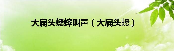 大扁头蟋蟀叫声（大扁头蟋）
