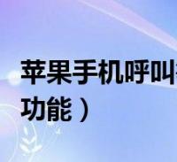 关于苹果手机呼叫等待是什么意思的信息-第1张图片-太平洋在线下载