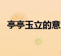 环球知识网