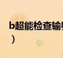 b超能检查输卵管堵塞（输卵管堵塞能治愈吗）