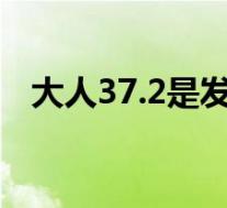 大人37.2是发烧吗?(大人37.2是发烧吗)