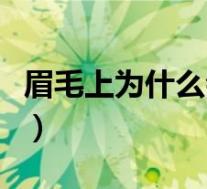 眉毛上为什么会长痘（眉毛长痘痘是怎么回事）