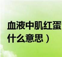 血液中肌红蛋白低是什么意思（肌红蛋白低是什么意思）