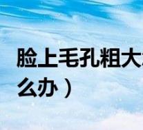 脸上毛孔粗大怎么办小妙招(脸上毛孔粗大怎么办)