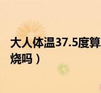 大人体温37.5度算发烧吗并且浑身疼(大人体温37.5度算发烧吗)