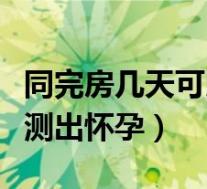 同完房几天可以测出怀孕（同房后多少天可以测出怀孕）