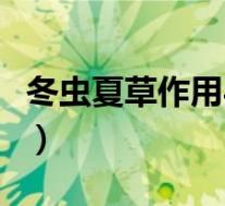 冬虫夏草作用与功效（冬虫夏草的作用和功效）