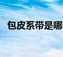 包皮系带是哪个位置（包皮和系带的部位）
