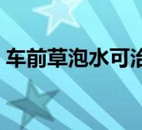 车前草泡水可治痛风吗（车前草可治痛风吗）