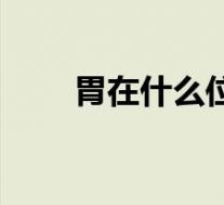 胃在什么位置图片（胃在什么位置）