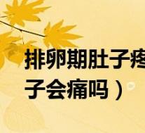 排卵期肚子疼是怎么回事 正常吗（排卵时肚子会痛吗）