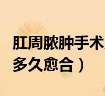 肛周脓肿手术后多久形成肛瘘(肛周脓肿术后多久愈合)