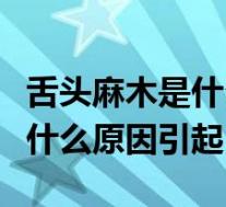 舌头麻木是什么原因引起怎么办（舌头麻木是什么原因引起）