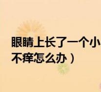 眼睛上长了一个小白疙瘩不疼不痒（胳膊肘上有小疙瘩不疼不痒怎么办）