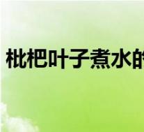 枇杷叶子煮水的功效(枇杷叶怎么煮水止咳)