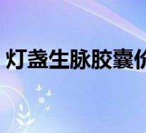 灯盏生脉胶囊价格（灯盏生脉胶囊主治什么）
