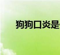 狗狗口炎是什么原因（口炎是什么病）