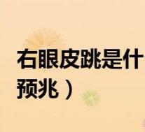 右眼皮跳是什么预兆时间表（右眼皮跳是什么预兆）