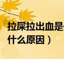 拉屎拉出血是什么原因肚子疼(拉屎拉出血是什么原因)