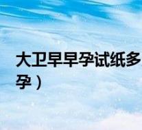 大卫早早孕试纸多久能测出来（早早孕试纸多久能测出来怀孕）