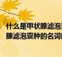 什么是甲状腺滤泡囊肿严重吗（什么是甲状腺滤泡囊肿 甲状腺滤泡囊肿的名词解释）