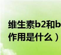 维生素b2和b6的功效与作用(维b6的功效与作用是什么)