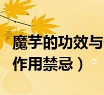 魔芋的功效与作用禁忌有什么（魔芋的功效与作用禁忌）