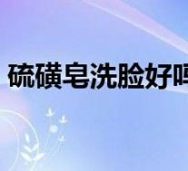 硫磺皂洗脸好吗油性皮肤(硫磺皂洗脸好吗)